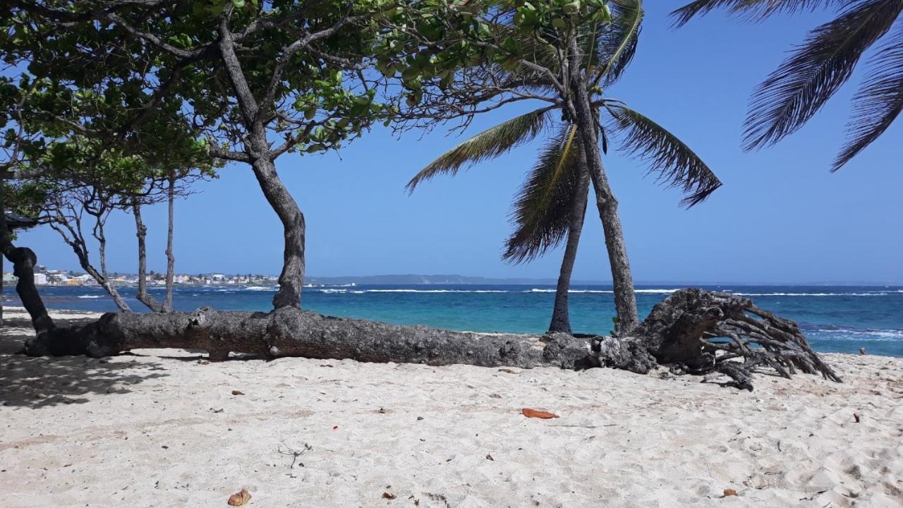 Studio A La Semaine, Au Mois Ou Plus Le Moule Exterior foto
